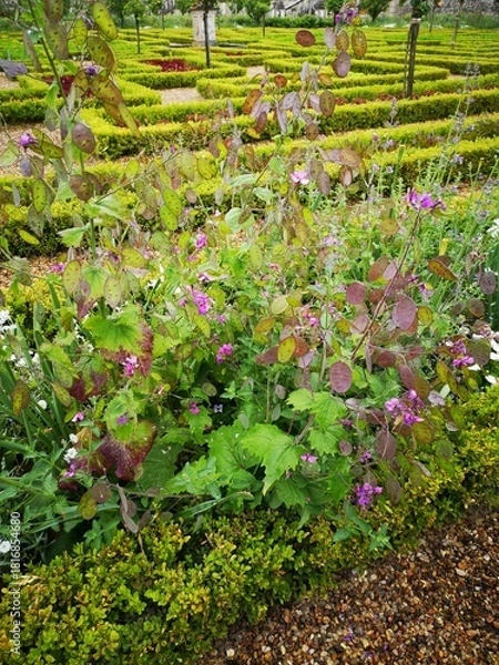 Obraz Monnaie du Pape