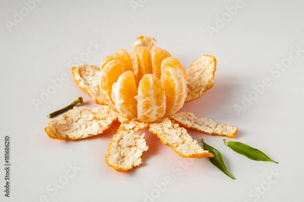 Obraz open tangerine