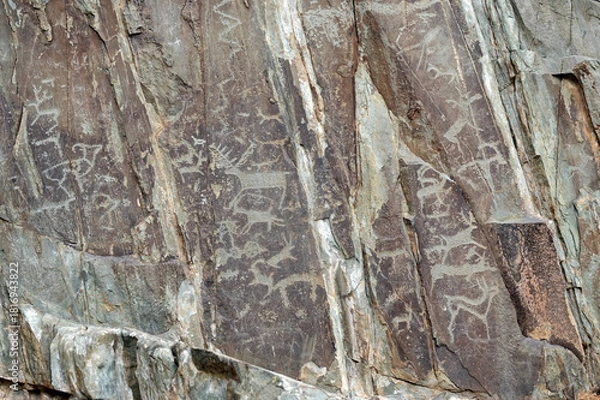Obraz Rock petroglyphs in the Kalbak-Tash tract. Altai Republic