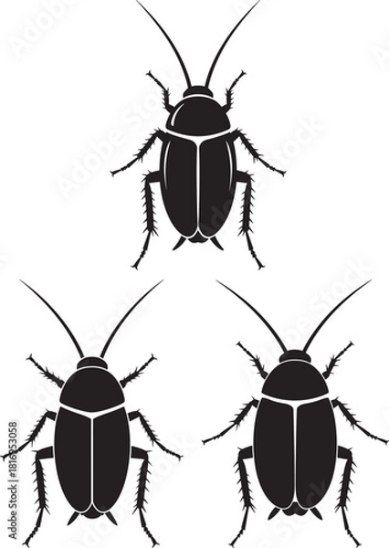 Fototapeta Three black beetle insect silhouettes