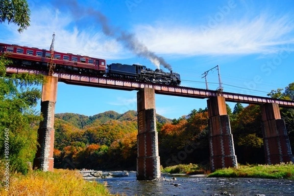 Obraz 鉄橋を渡る蒸気機関車