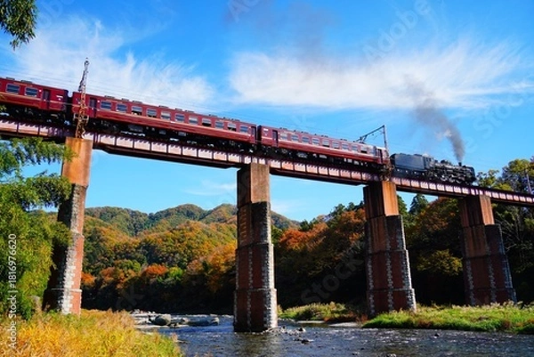 Obraz 鉄橋を渡る蒸気機関車