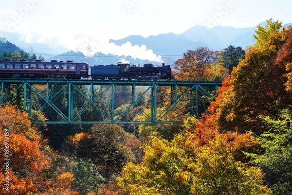 Obraz 鉄橋を渡る蒸気機関車