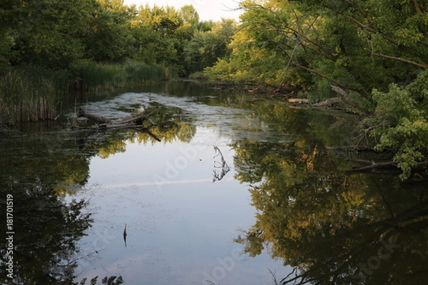 Obraz Water under a bridge