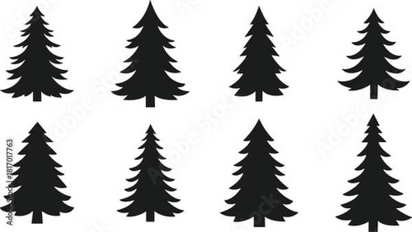 Fototapeta Set of evergreen tree silhouettes for holiday and winter designs