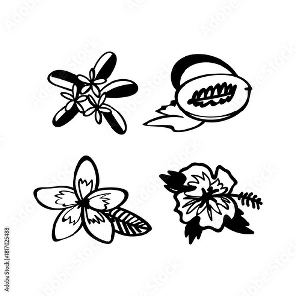 Fototapeta Exotic flowers hand drawn vector illustrations