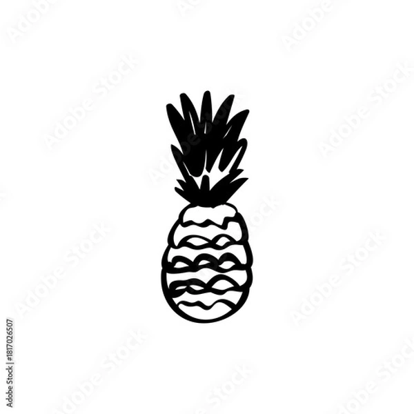 Fototapeta Pineapple hand drawn vector illustration