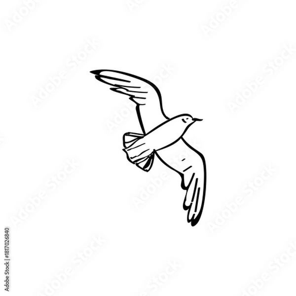 Fototapeta Seagull hand drawn vector illustration