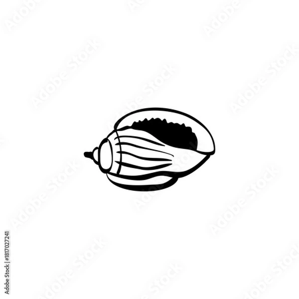 Fototapeta Seashell hand drawn vector illustrations