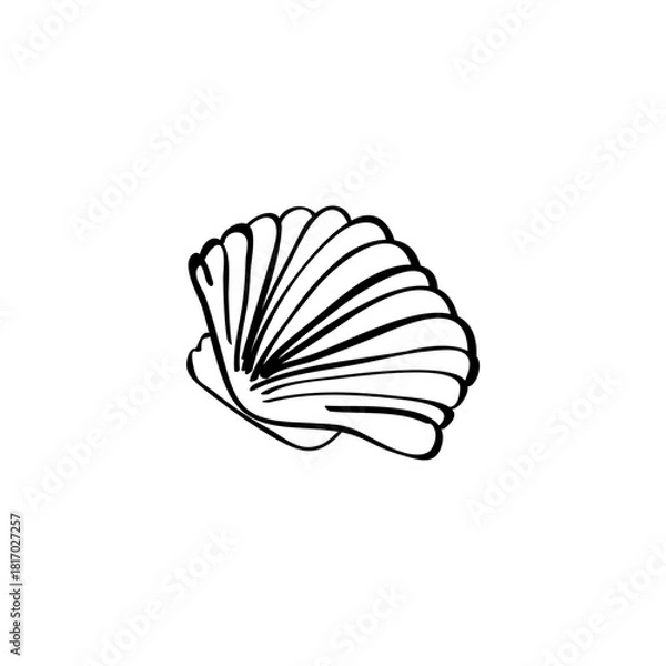 Fototapeta Seashell hand drawn vector illustration