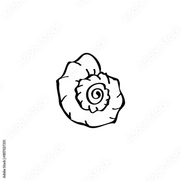 Fototapeta Seashell hand drawn vector illustration