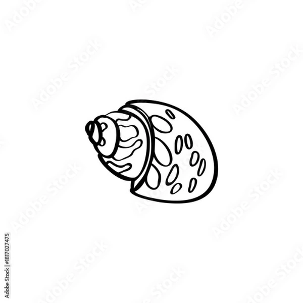 Fototapeta Seashell hand drawn vector illustrations