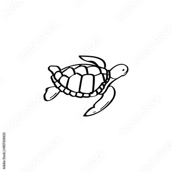 Fototapeta Turtle hand drawn vector illustration