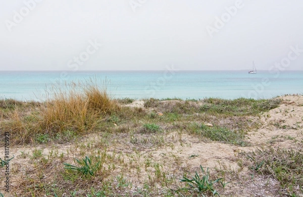 Obraz Dreamy soft paradise beach