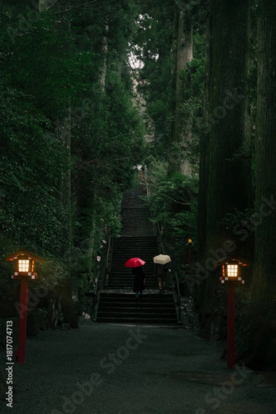 Obraz night in the forest