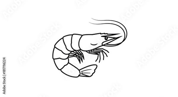 Fototapeta Simple black and white line art illustration of a shrimp or prawn for a seafood restaurant menu or logo on a white background.