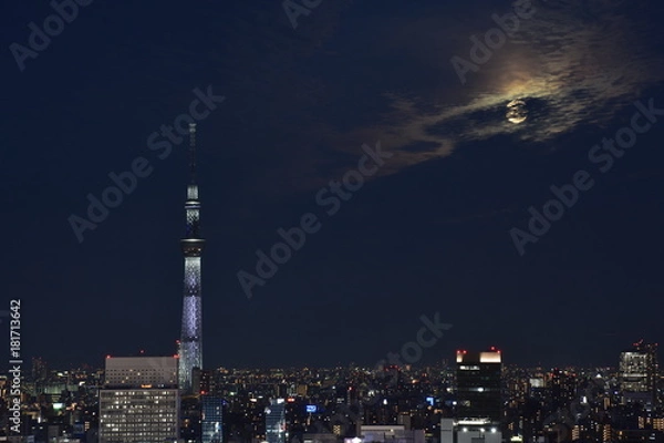 Fototapeta 月とスカイツリー