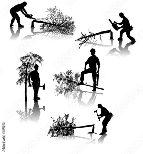 Obraz Isolated forestry workers with different tools