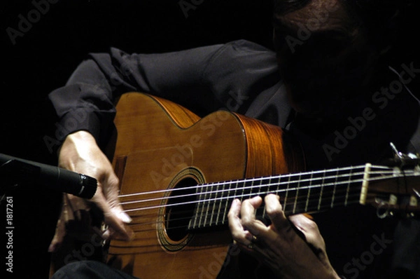 Fototapeta tribute-5743