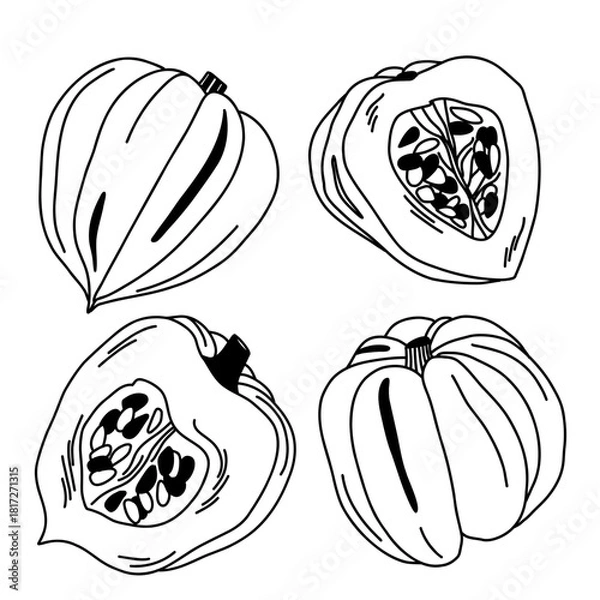 Obraz Contoured raw acorn pumpkin with seeds whole and cut, isolated vegetable set