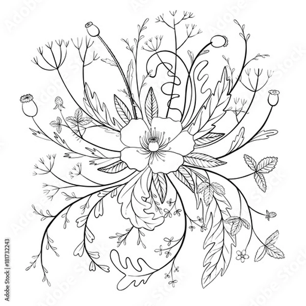 Obraz vector floral composition