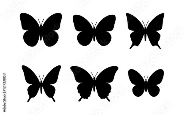 Fototapeta Collection of butterfly silhouettes in various poses and styles