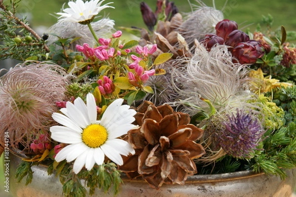 Fototapeta Blumenbeet