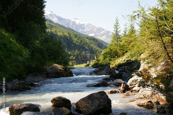 Fototapeta Wild River