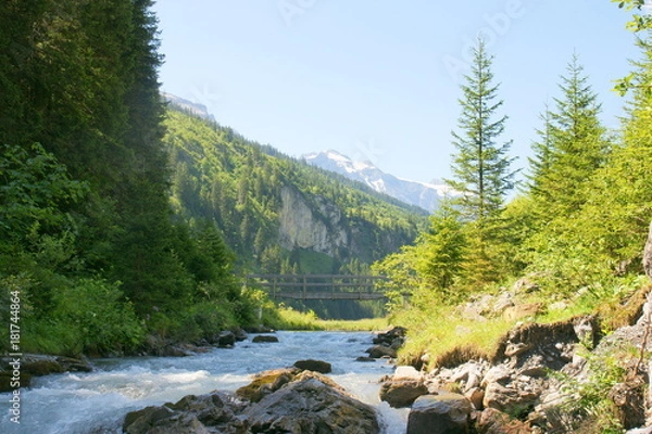 Fototapeta Wildriver Bridge