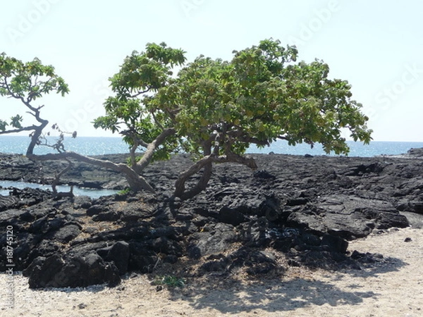 Fototapeta Vulkanerde