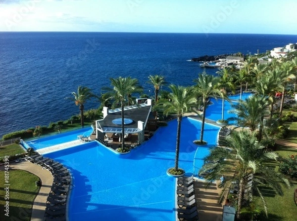 Fototapeta Palms & Pool