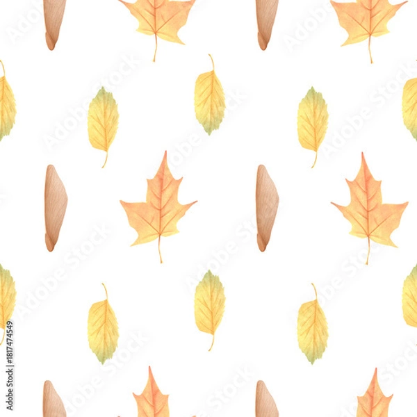 Obraz A watercolor pattern of colorful autumn maple leaves. This hand drawn, simple design is perfect for wrapping paper and interior design.