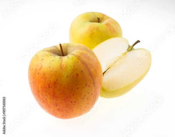 Obraz 　林檎　群馬明月