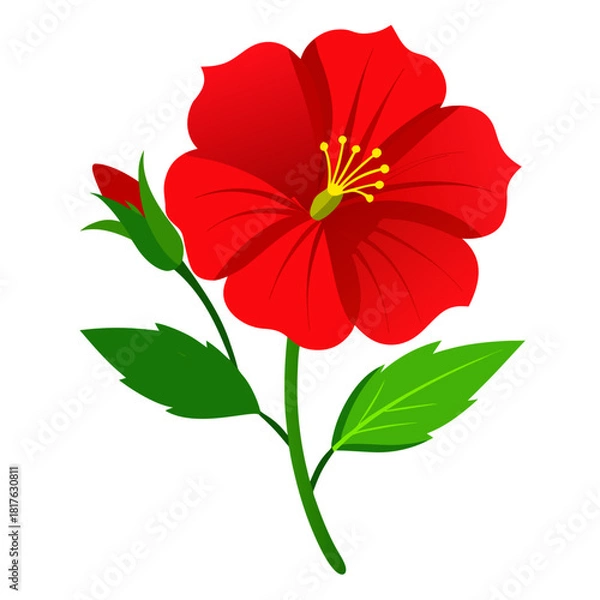 Fototapeta evening primrose red