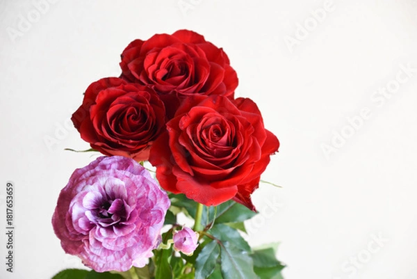 Obraz 薔薇とラナンキュラス