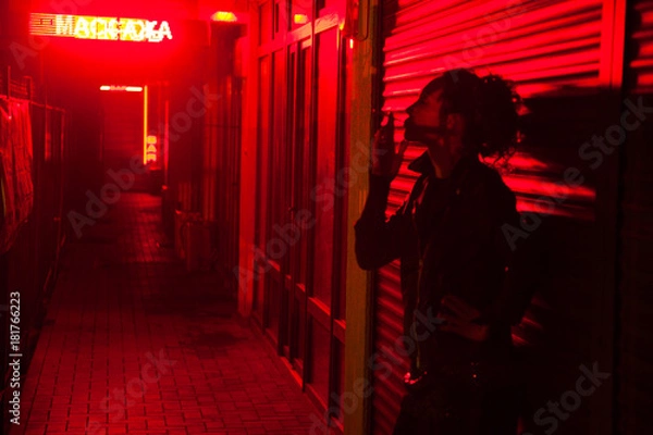 Fototapeta Red Light Street