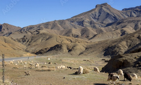 Obraz Au sommet de l'Atlas