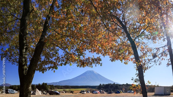 Fototapeta 晩秋の富士山麓朝霧高原のキャンプ場から　紅葉と富士山の絶景　　静岡県富士宮市　日本