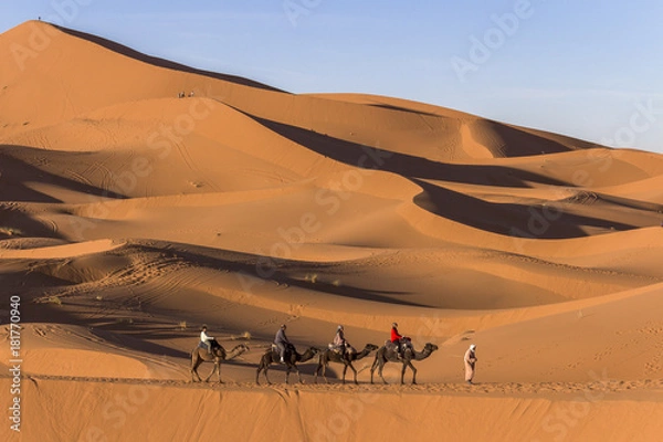 Fototapeta Caravane dans le desert