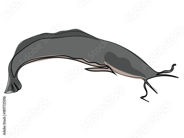Obraz Catfish in continuous line drawing