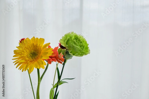 Fototapeta 窓際の穏やかな光と綺麗な生花