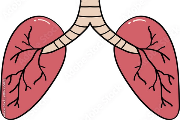 Obraz 폐 일러스트