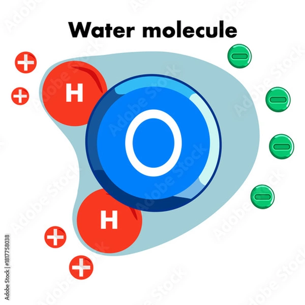 Fototapeta Illustration of a Water Molecule Structure