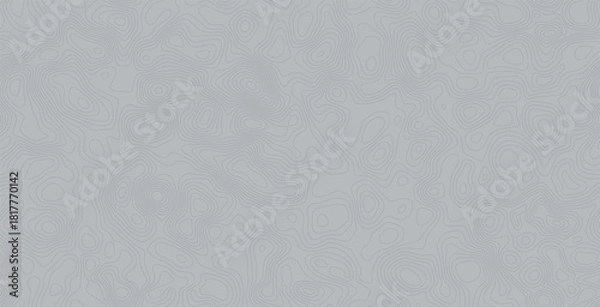 Obraz Seamless vector geographic contour map background.