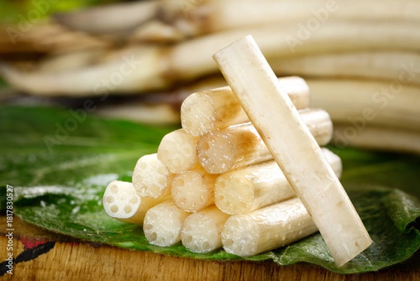 Obraz Fresh Lotus Root Vegetable Slices with Hollow Chambers on Green Leaves - Traditional Asian Cooking Ingredient
