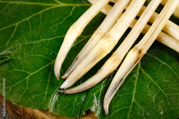 Obraz Fresh lotus root vegetables on green leaf - traditional Asian ingredient from Honghu