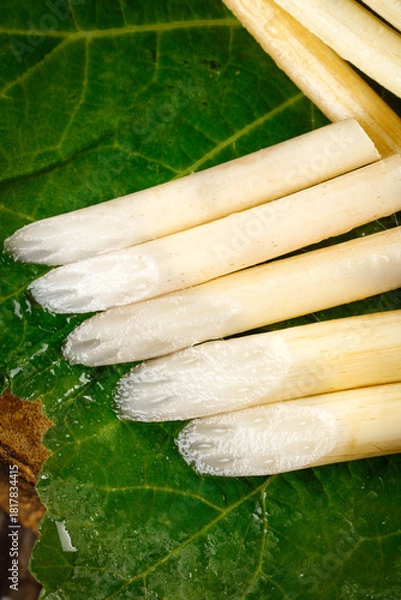 Obraz Freshly Dug Lotus Root Vegetables on Green Leaves - Honghu Traditional Asian Produce