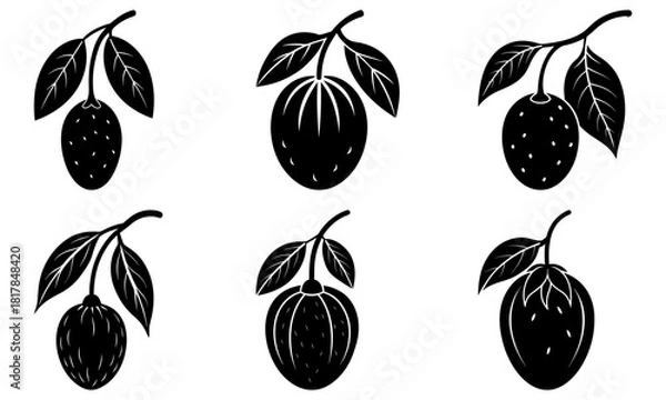 Fototapeta Elegant botanical illustration of passion fruit, artistic, hand-drawn style for invitations, branding, packaging, and natural food concepts, vector origin