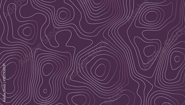 Fototapeta Topographic Contour Line Pattern Background