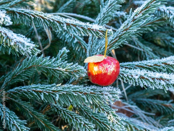 Fototapeta Frosty fir tree with Christmas tree decorations. Christmas mood time. Weather forecast